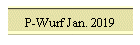 P-Wurf Jan. 2019