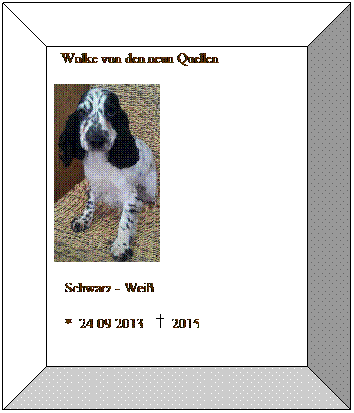 Bevel: &nbsp; Wolke von den neun Quellen

&nbsp;&nbsp; Schwarz - Wei�
&nbsp;&nbsp; *&nbsp; 24.09.2013&nbsp;&nbsp;&nbsp;&nbsp; 2015
&nbsp;
&nbsp;
&nbsp;
&nbsp;
&nbsp;
&nbsp;
&nbsp;
