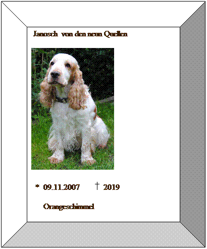 Bevel: &nbsp;Janosch&nbsp; von den neun Quellen
&nbsp;&nbsp;
&nbsp; *&nbsp; 09.11.2007&nbsp;&nbsp;&nbsp;&nbsp;&nbsp;&nbsp; &nbsp; 2019
&nbsp;&nbsp;&nbsp;&nbsp;&nbsp; Orangeschimmel
&nbsp;&nbsp;&nbsp;&nbsp;&nbsp;&nbsp;
&nbsp;&nbsp;
&nbsp;
&nbsp;
&nbsp;
&nbsp;
&nbsp;
&nbsp;
&nbsp;
