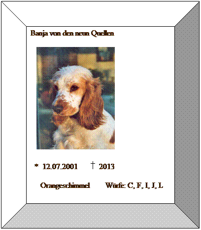 Bevel: Banja von den neun Quellen
&nbsp;&nbsp; 
&nbsp; *&nbsp; 12.07.2001&nbsp;&nbsp;&nbsp;&nbsp;&nbsp; &nbsp; 2013
&nbsp;&nbsp;&nbsp;&nbsp; Orangeschimmel&nbsp;&nbsp;&nbsp;&nbsp;&nbsp;&nbsp;&nbsp; W�rfe: C, F, I, J, L
&nbsp; 
&nbsp;
